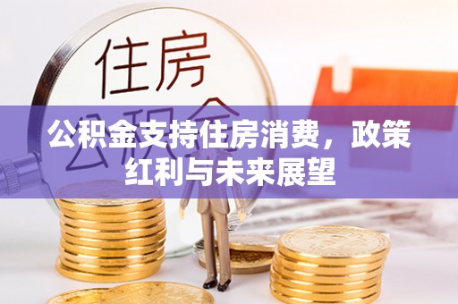 北海新区公积金支持住房消费，政策红利与未来展望